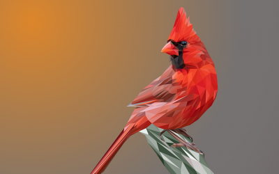 Interesting Facts About the Northern Cardinal