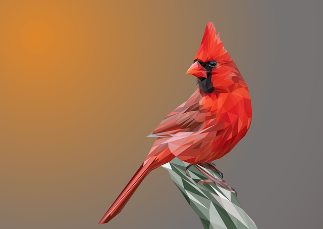 Interesting Facts About the Northern Cardinal