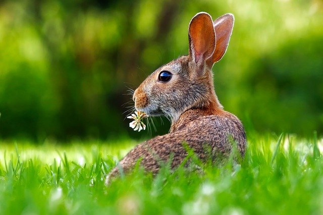 Reviving Your Lawn After a Cold Winter